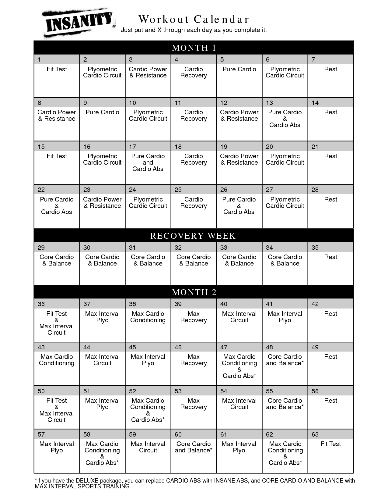 buy insanity workout